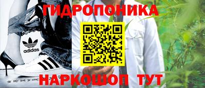 гашик Михайловск