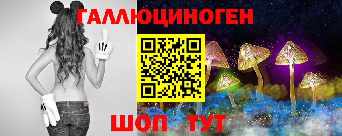 Псилоцибиновые грибы Magic Shrooms Великий Новгород