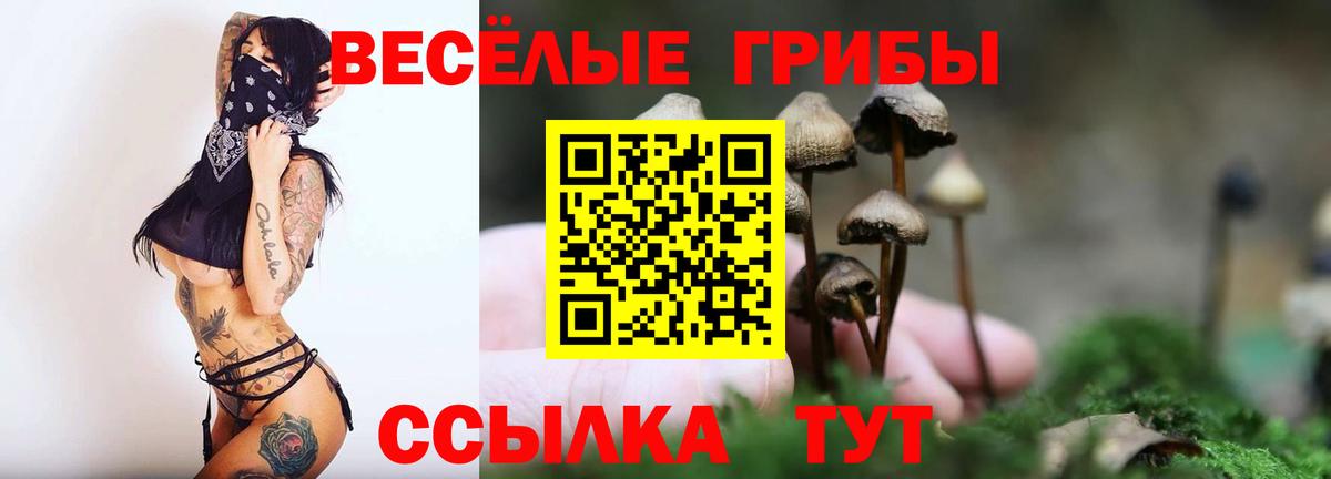 Галлюциногенные грибы Psilocybine cubensis  Вход с VPN  купить закладку  Великий Новгород 